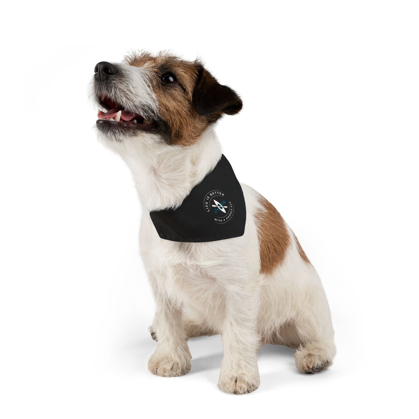 Life Is Better With A Paddle Pup Black Bandana Collar