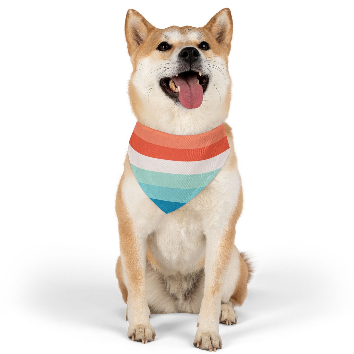 Multicolor Bandana Collar
