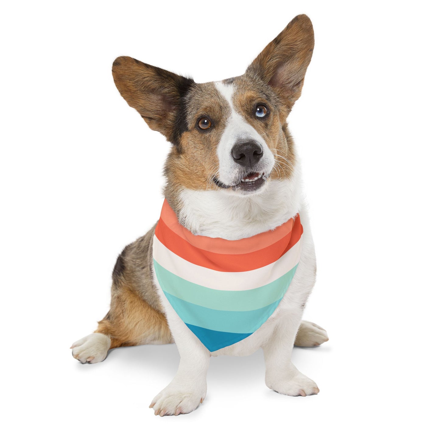 Multicolor Bandana Collar