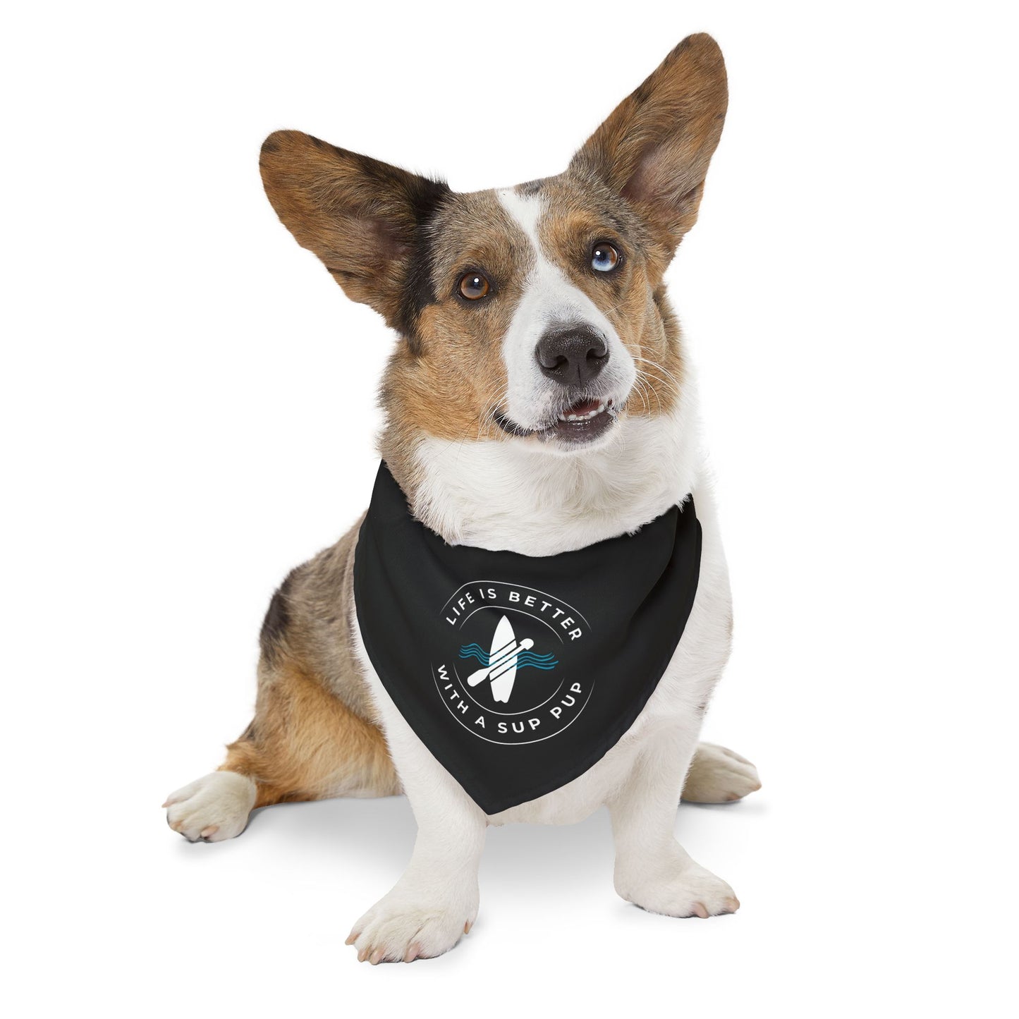 Life Is Better With A SUP Pup Black Bandana Collar