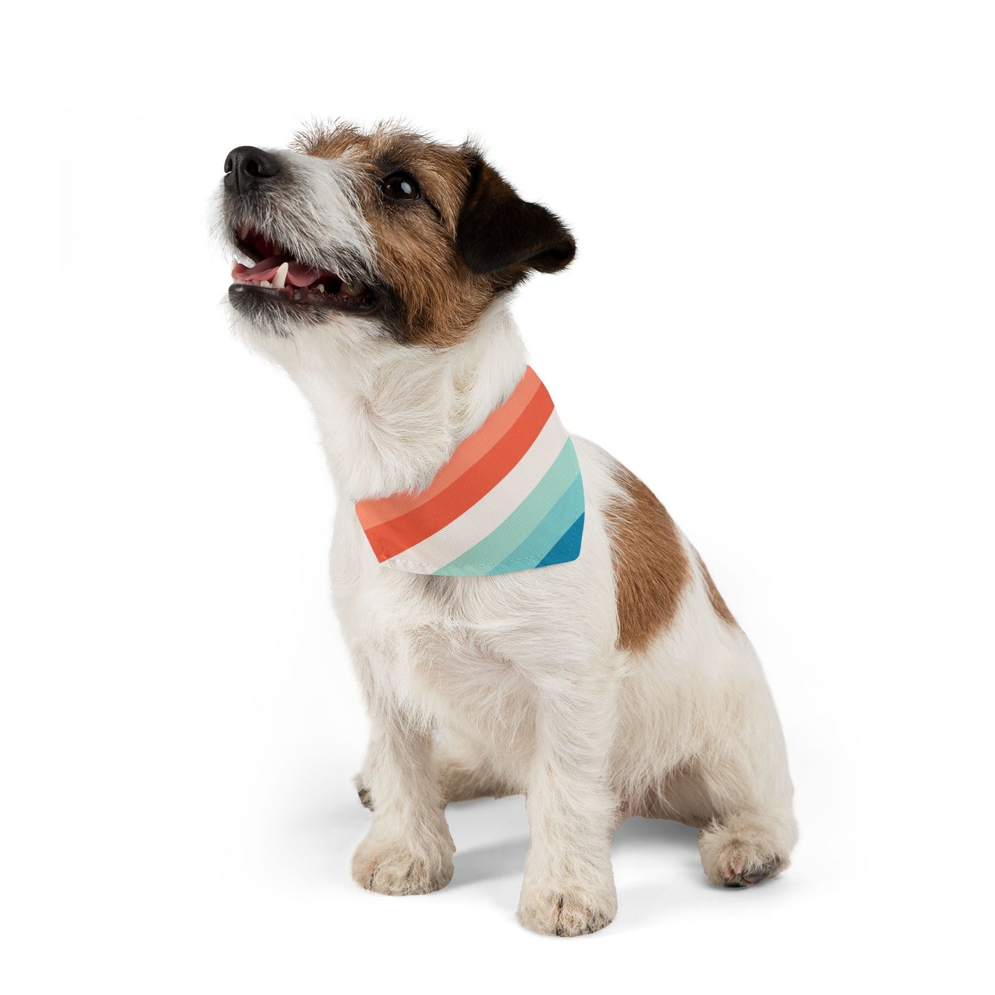 Multicolor Bandana Collar