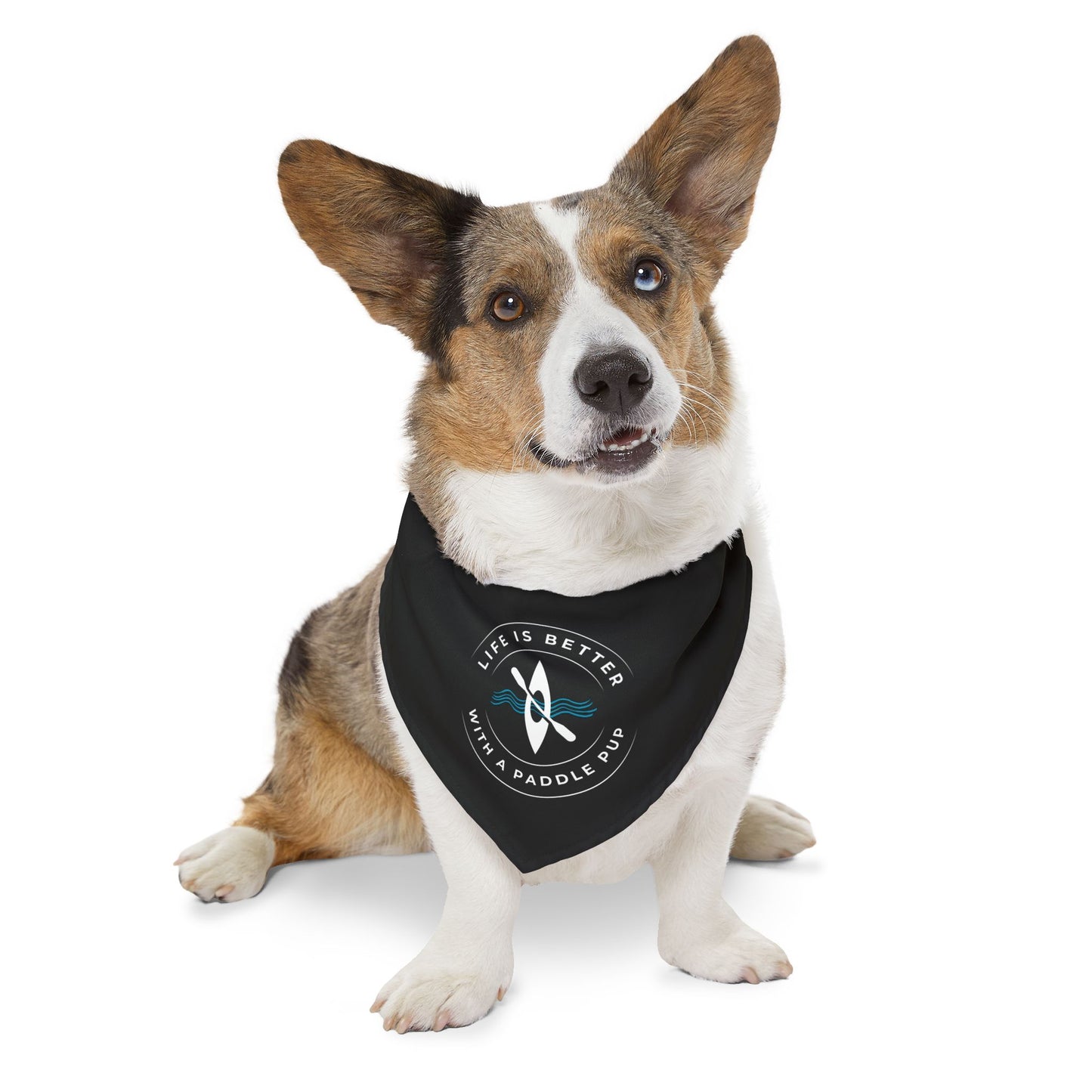 Life Is Better With A Paddle Pup Black Bandana Collar